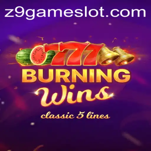 z9game Casino App